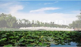 小米q1手机（小米1 手机）
