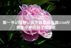 第一书记搭桥，沂水县富官庄镇31360斤黄金小米运到了煤矿上