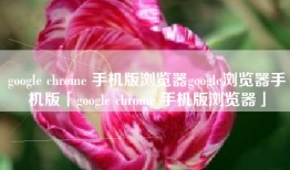 google chrome 手机版浏览器google浏览器手机版「google chrome 手机版浏览器」