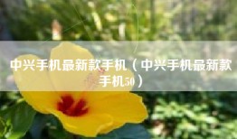 中兴手机最新款手机（中兴手机最新款手机50）
