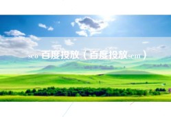 seo 百度投放（百度投放sem）