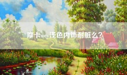 摩卡wey浅色内饰耐脏么？
