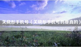 关晓彤手机号（关晓彤手机号码要真的）