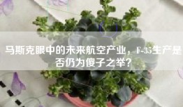 马斯克眼中的未来航空产业，F-35生产是否仍为傻子之举？