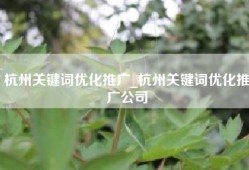 杭州关键词优化推广_杭州关键词优化推广公司