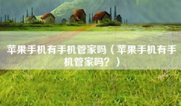 苹果手机有手机管家吗（苹果手机有手机管家吗？）