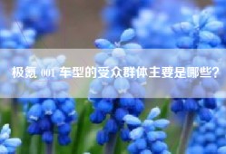 极氪 001 车型的受众群体主要是哪些？
