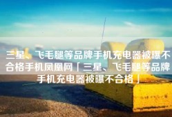 三星、飞毛腿等品牌手机充电器被曝不合格手机凤凰网「三星、飞毛腿等品牌手机充电器被曝不合格」