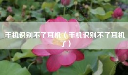 手机识别不了耳机（手机识别不了耳机了）