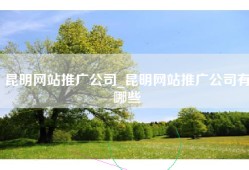 昆明网站推广公司_昆明网站推广公司有哪些