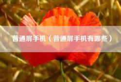普通屏手机（普通屏手机有哪些）