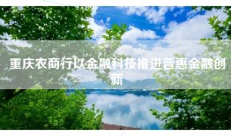 重庆农商行以金融科技推进普惠金融创新