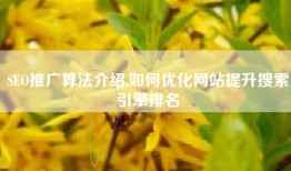 SEO推广算法介绍,如何优化网站提升搜索引擎排名