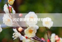 讨论数据挖掘的研究现状