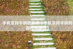 手机支持手柄的游戏（手机支持手柄的游戏有哪些）
