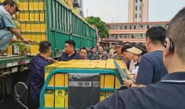 第一书记搭桥，沂水县富官庄镇31360斤黄金小米运到了煤矿上