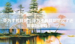 华为手机找到（华为手机找到定位了还能拿回来吗）