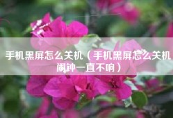 手机黑屏怎么关机（手机黑屏怎么关机闹钟一直不响）