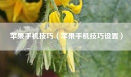 苹果手机技巧（苹果手机技巧设置）