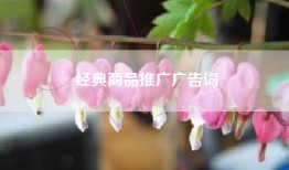 经典商品推广广告词