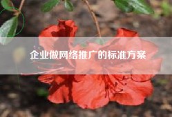企业做网络推广的标准方案