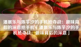 潘展乐与陈芋汐的手机抢夺战：趣味背后的深意抢手机「潘展乐与陈芋汐的手机抢夺战：趣味背后的深意」