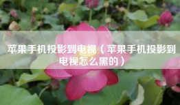 苹果手机投影到电视（苹果手机投影到电视怎么黑的）