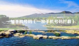 一加手机号码（一加手机号码拦截）