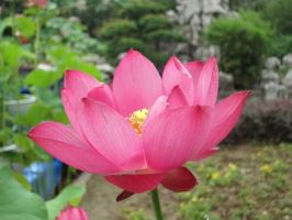 王力防盗门维修电话24小时电话是多少《今日发布》 福州“锅盔叔叔”妻子患病仍“加量不加价” 大学生排百米长队尽“一饼之力” 王力防盗门维修电话24小时电话是多少《今日发布》 福州“锅盔叔叔”妻子患病仍“加量不加价” 大学生排百米长队尽“一饼之力”
