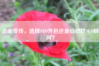 企业宣传，选择SEO外包还是自己找SEO顾问？