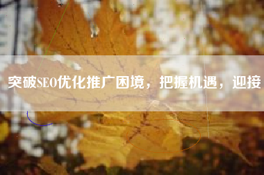 突破SEO优化推广困境，把握机遇，迎接