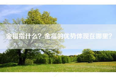 金福指什么？金福的优势体现在哪里？