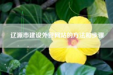 辽源市建设外贸网站的方法和步骤