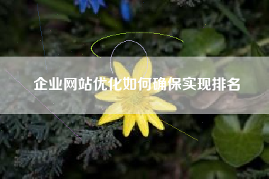 企业网站优化如何确保实现排名