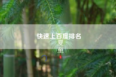 快速上百度排名