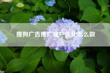 搜狗广告推广账户优化怎么做 搜狗广告推广账户优化怎么做