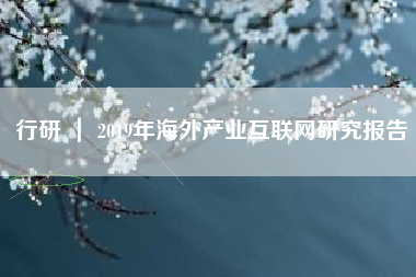 行研 ｜ 2019年海外产业互联网研究报告