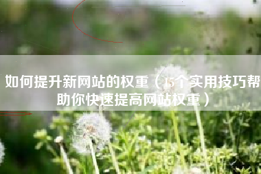 如何提升新网站的权重（15个实用技巧帮助你快速提高网站权重）