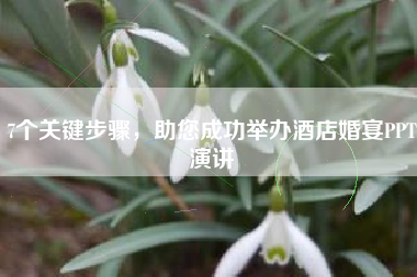 7个关键步骤，助您成功举办酒店婚宴PPT演讲