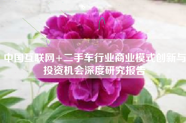 中国互联网+二手车行业商业模式创新与投资机会深度研究报告
