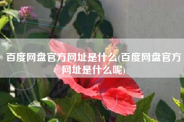 百度网盘官方网址是什么(百度网盘官方网址是什么呢)