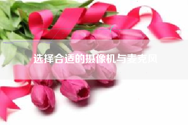 选择合适的摄像机与麦克风