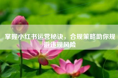 掌握小红书运营秘诀，合规策略助你规避违规风险