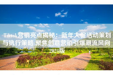 Tiktok营销亮点揭秘：新年大促活动策划与执行策略 聚焦创意营销引爆潮流风向 2024版