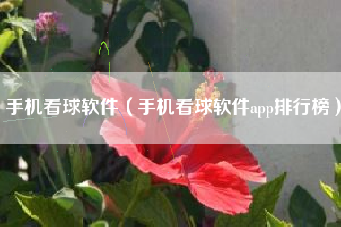 手机看球软件（手机看球软件app排行榜）