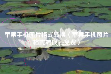 苹果手机图片格式转换（苹果手机图片格式转换jpg免费）