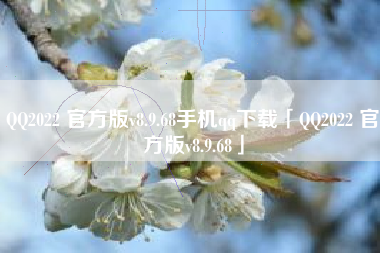 QQ2022 官方版v8.9.68手机qq下载「QQ2022 官方版v8.9.68」 QQ2022 官方版v8.9.68手机qq下载「QQ2022 官方版v8.9.68」