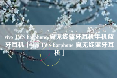 vivo TWS Earphone 真无线蓝牙耳机手机蓝牙耳机「vivo TWS Earphone 真无线蓝牙耳机」