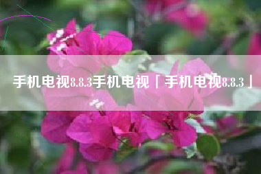 手机电视8.8.3手机电视「手机电视8.8.3」