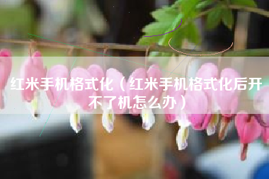 红米手机格式化（红米手机格式化后开不了机怎么办）